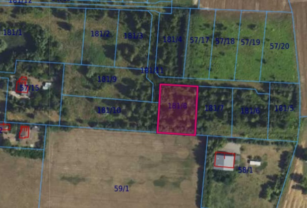 Działka| Cholewy dz 181/8 | 0,2003 ha