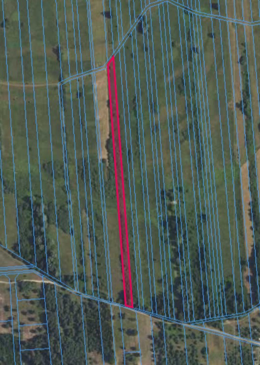 Działka | OLSZEWNICA NOWA dz. 290 | 0,7285 ha