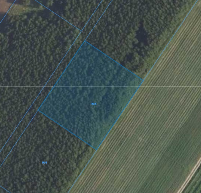 Działka| Kamienica dz 89/8 | 0,3000 ha