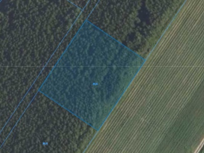 Działka| Kamienica dz 89/8 | 0,3000 ha