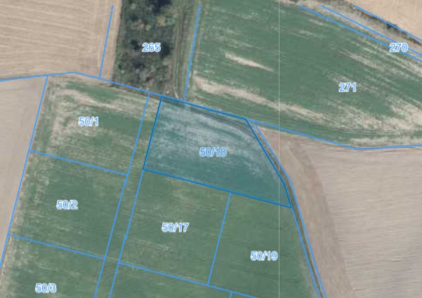 Działka | Węglewo dz. 50/18 |  0,3342 ha