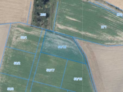 Działka | Węglewo dz. 50/18 |  0,3342 ha