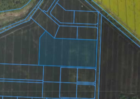 Działka | Żydowo dz. 288 | 1,9421 ha