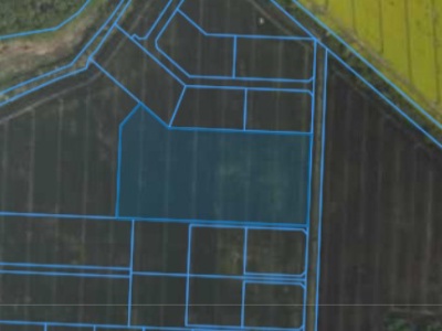 Działka | Żydowo dz. 288 | 1,9421 ha