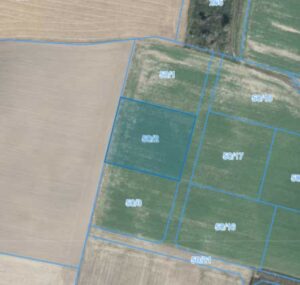 Działka | Węglewo dz. 50/2 | 0,3181 ha