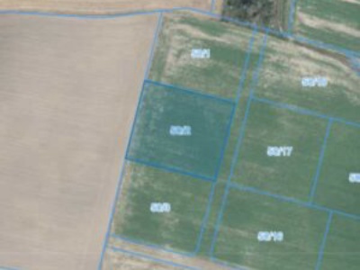 Działka | Węglewo dz. 50/2 | 0,3181 ha