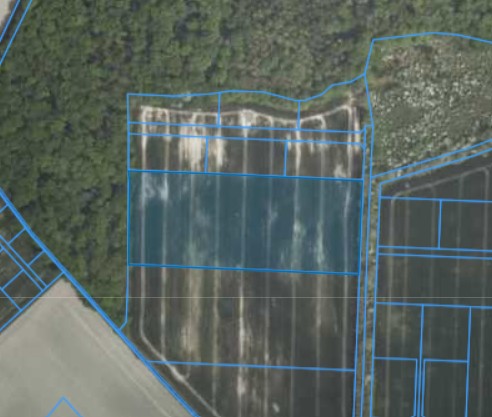 Działka | Żydowo dz. 52/9 | 2,4494 ha