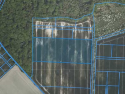 Działka | Żydowo dz. 52/9 | 2,4494 ha