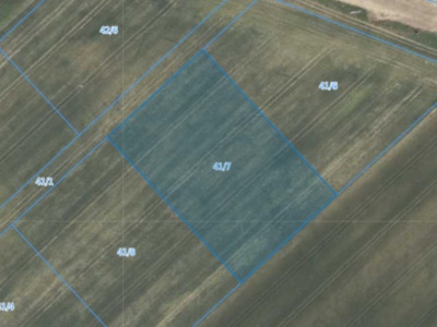 Działka| Jarząbkowice dz 41/7 | 0,3923 ha