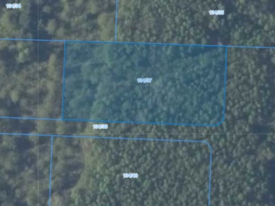 Działka | Kobylanka dz. 134/37 | 0,3070 ha