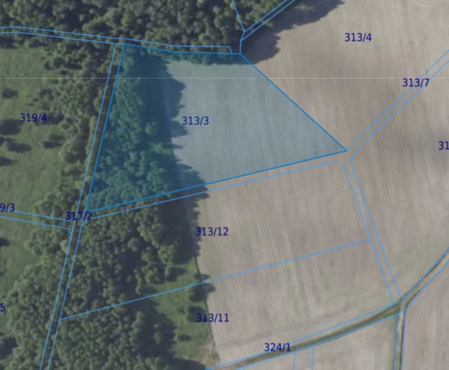 Działka| Chwałowice dz 313/3  | 1,4221 ha