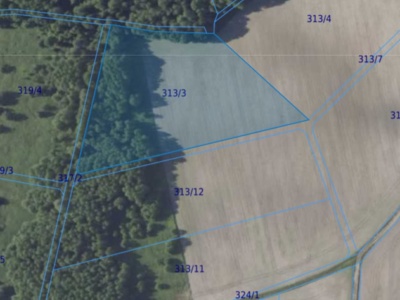 Działka| Chwałowice dz 313/3  | 1,4221 ha