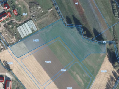 Działka | Podarzewo dz. 145/3 | 1,2368 ha