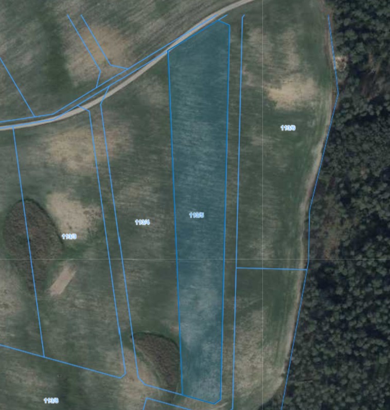 Działka | Pacholewo dz. 113/5 | 1,2461 ha