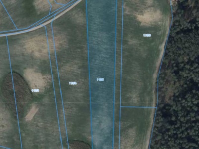 Działka | Pacholewo dz. 113/5 | 1,2461 ha