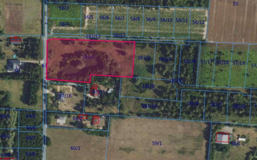 Działka | Cholewy dz. 181/1 | 0,9190 ha