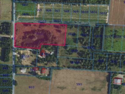 Działka | Cholewy dz. 181/1 | 0,9190 ha