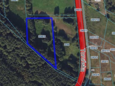 Działka | WIELKA NIESZAWKA dz. 238/1 | 0,75 ha