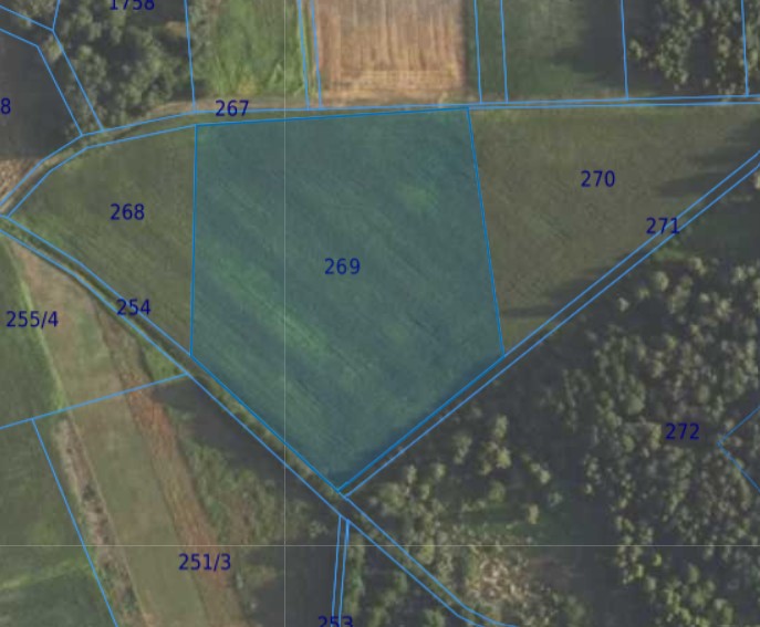 Działka| Grędzina dz 269 | 1,38 ha
