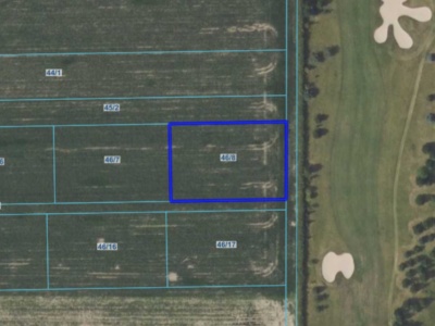 Działka | WOLA BŁĘDOWSKA dz. 46/8 | 0,3001 ha