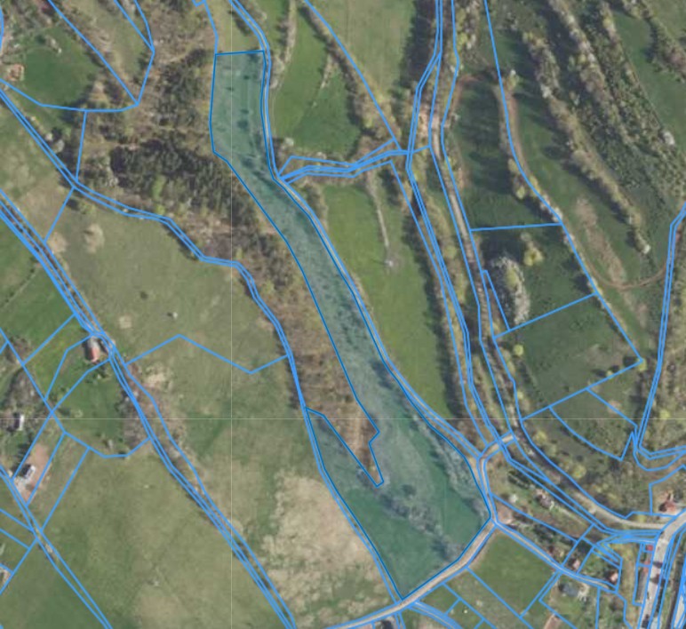 Działka | WŁODOWICE dz. 111/13 | 4,8782 ha