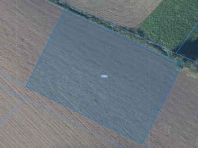 Działka | Łagiewniki dz. 77/44 | 0,3009 ha