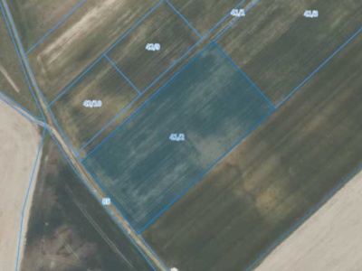 Działka| Jarząbkowice dz 41/2 | 1,2000 ha