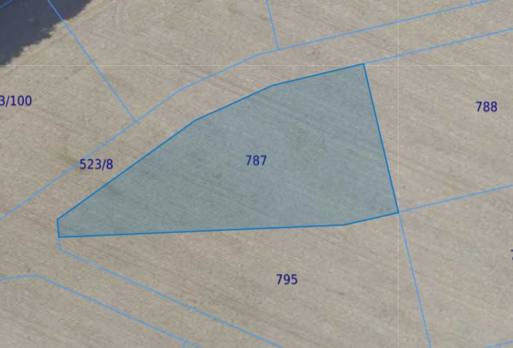 Działka | Miłoszyce dz. 787 |  0,3198 ha