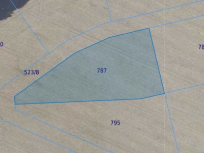 Działka | Miłoszyce dz. 787 |  0,3198 ha