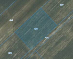 Działka| Jarząbkowice dz 42/8 | 0,3250 ha