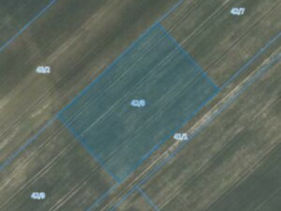 Działka| Jarząbkowice dz 42/8 | 0,3250 ha