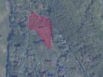 Działka | Pręgowo Górne dz. 426/9 | 0,5451 ha