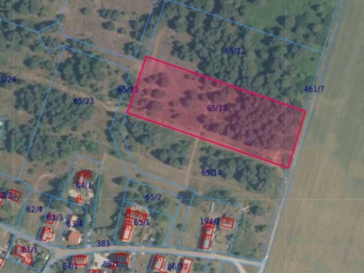 Działka| Biskupice dz. 65/13 | 1,0010 ha