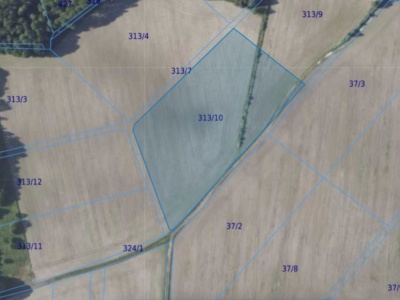 Działka| Chwałowice dz 313/10 | 1,6383 ha