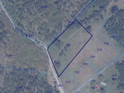 Działka | Błotnia dz 78/2 | 1,2195 ha