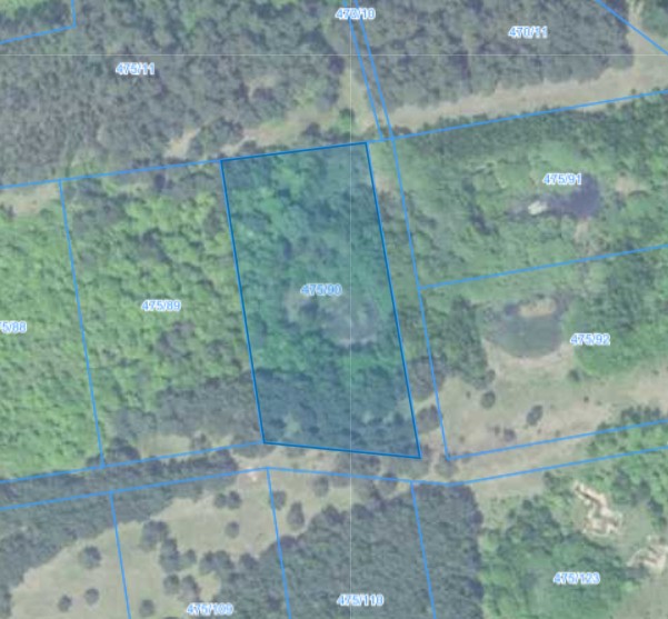 Działka | SŁONE dz. 475/90 | 0,6544 ha