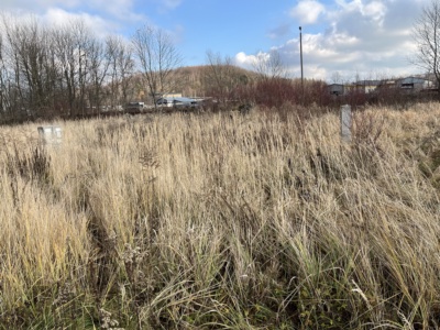 Działki | Kolonia Brzeziny Wielkie dz. 350/4, 350/5, 350/8, 350/9, 350/10, 353/3, 353/4, 353/7, 353/8 353/9 | 0,9778 ha