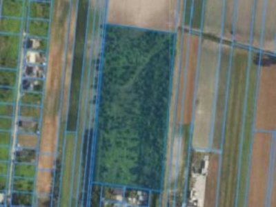 Działka | Żukówka dz. 75/5 | 3,6762 ha