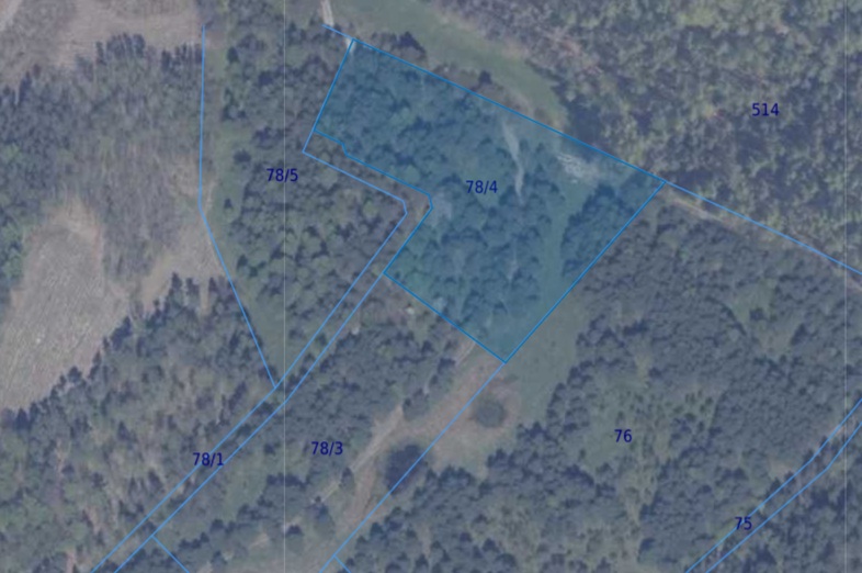 Działka | Błotnia dz 78/4 | 1,2246 ha