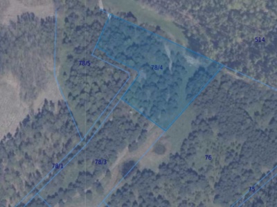 Działka | Błotnia dz 78/4 | 1,2246 ha