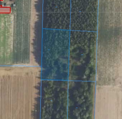 Działka | Naborowo dz. 113/3 | 0,3002 ha