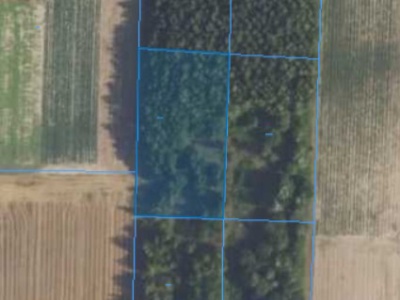 Działka | Naborowo dz. 113/3 | 0,3002 ha