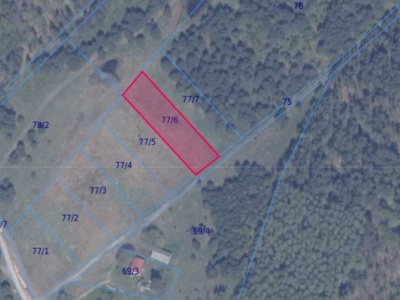 Działka | Błotnia dz. 77/6 | 0,3001 ha