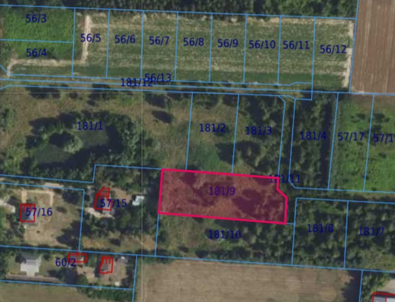 Działka| Cholewy dz 181/9 | 0,3091 ha