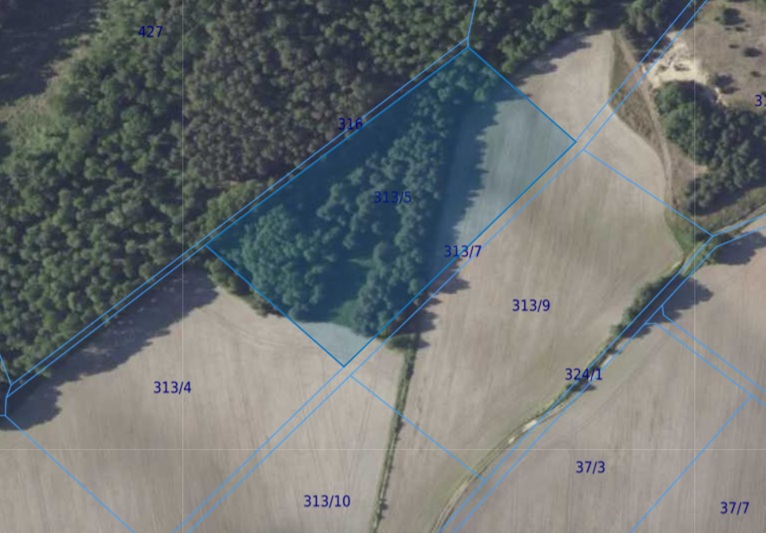 Działka| Chwałowice dz 313/5  | 1,4796 ha