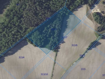 Działka| Chwałowice dz 313/5  | 1,4796 ha