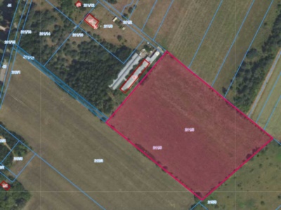 Działka | ZARĘBY dz. 211/5, 211/16 |  2,4361 ha