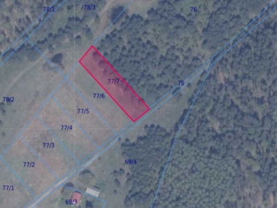 Działka | Błotnia dz. 77/7 | 0,3014 ha