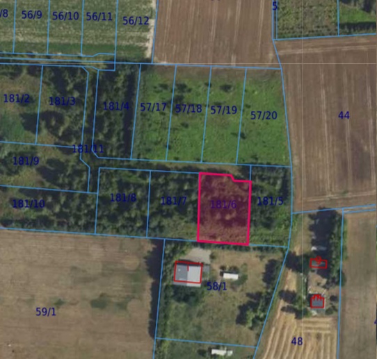 Działka| Cholewy dz 181/6 | 0,1939 ha