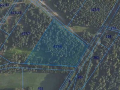 Działka| Grędzina dz 427/6 | 1,0055 ha